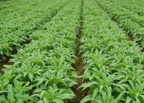 1616386391259240.jpg 1616378125(1).jpg