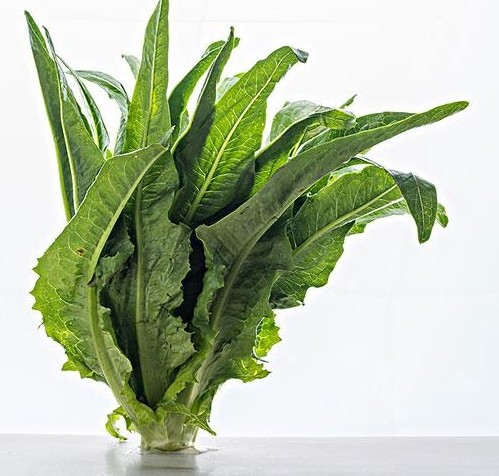 1616386630100768.jpg 1616378654(1).jpg