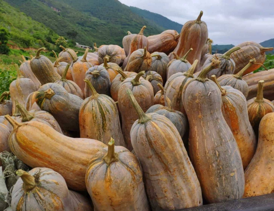 1616387326115370.png 1616379127(1).png