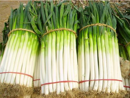 1616392413244101.png 1616381528(1).png