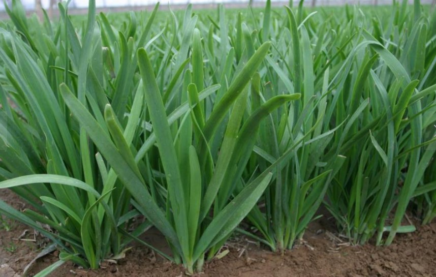 1616777130201545.jpg 1616316821(1).jpg