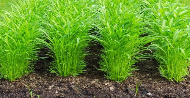 1616778658162445.jpg 1616321070(1).jpg