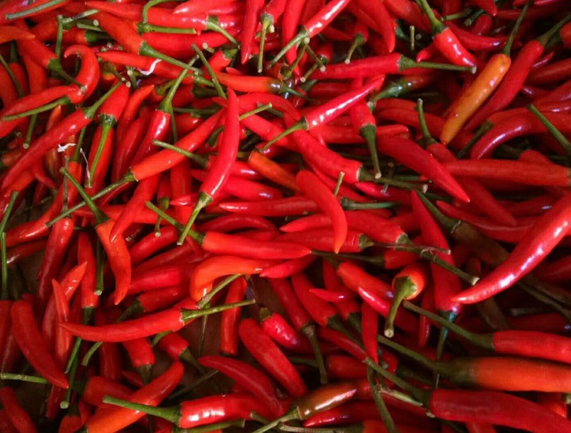 1616929431316541.jpg 1616924896(1).jpg