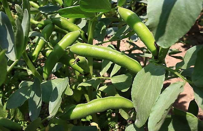 1617263278608748.jpg 1617251709(1).jpg