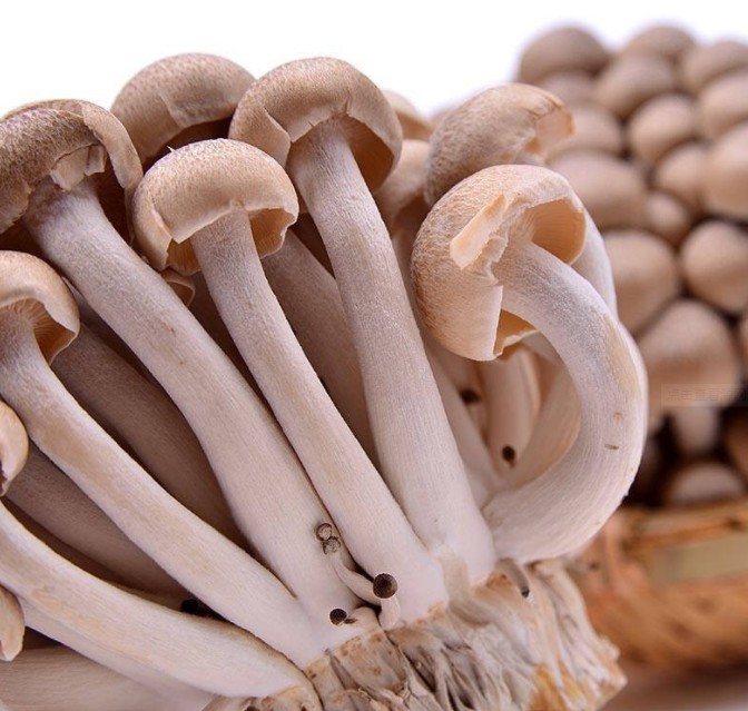 1618373579170105.jpg 1618191348(1).jpg