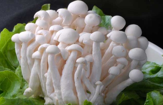 1618374475183136.jpg 1618192405.jpg