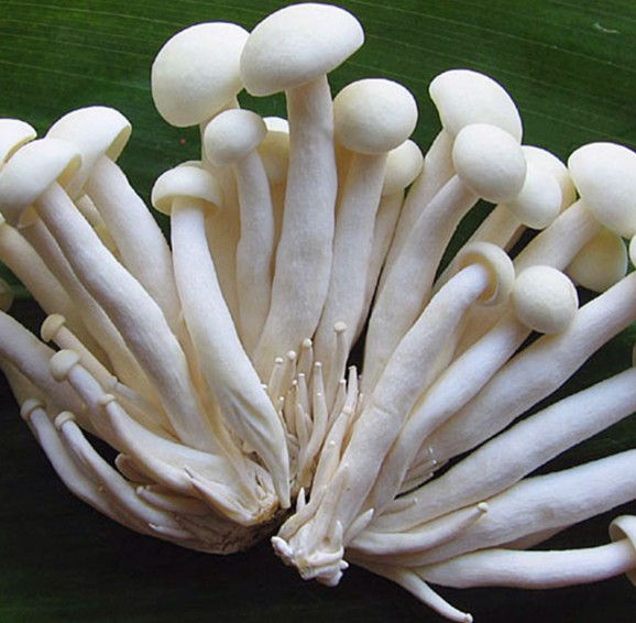 1618374949178628.jpg 1618193207(1).jpg