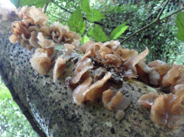 1618375264627858.jpg 1618193642(1).jpg