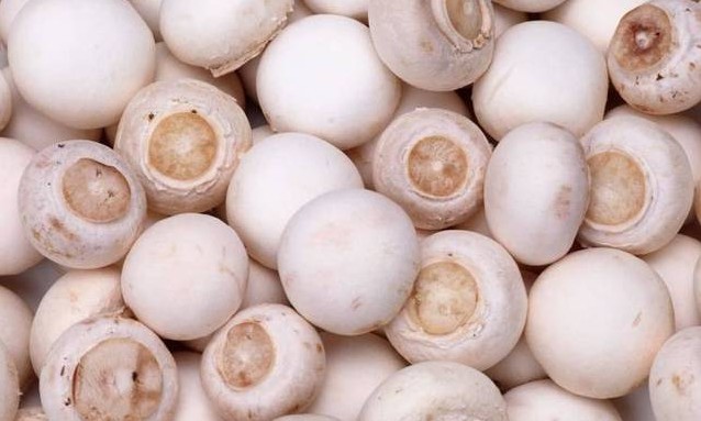 1618375534126091.jpg 1618193994(1).jpg