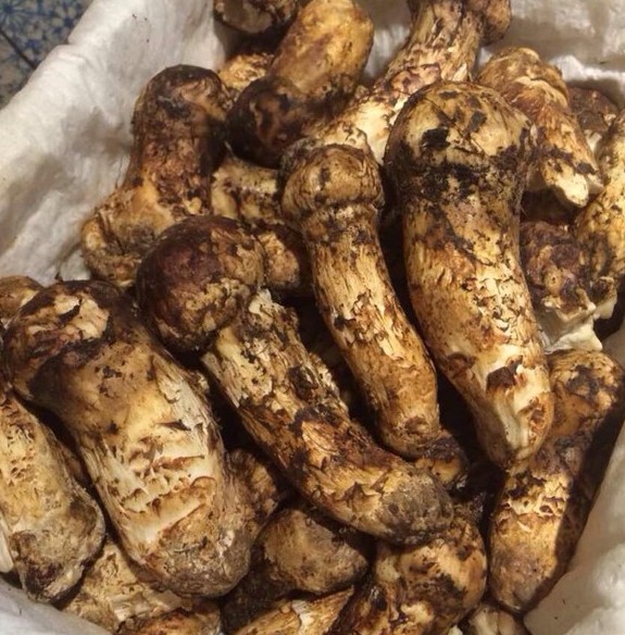 1618382858193707.jpg 1618196639(1).jpg