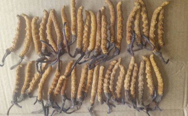 1618986347106979.jpg 1618200287(1).jpg