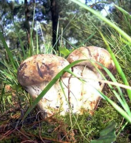 1619083302143865.jpg 1618202091(1).jpg