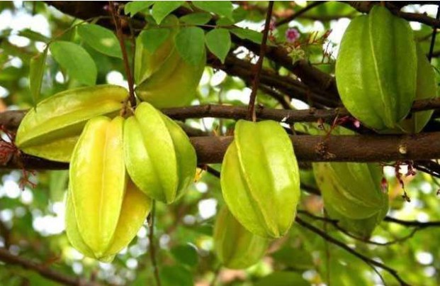 1623835193203013.jpg 1623300698(1).jpg