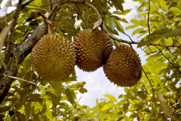 1624522389185575.jpg 1624521288(1).jpg