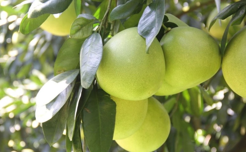 1624870913961013.jpg 1624521850(1).jpg