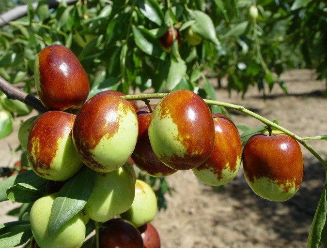 1625545490327859.jpg 1624696800(1).jpg