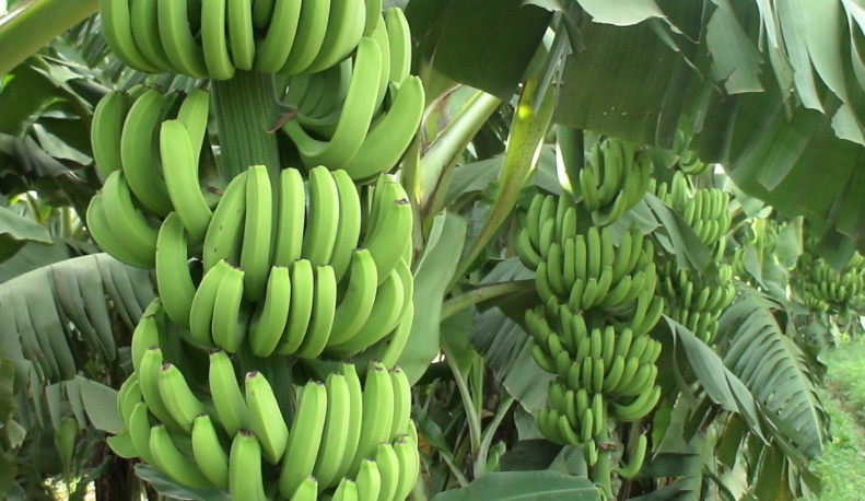 1625545583178163.jpg 1624697208(1).jpg