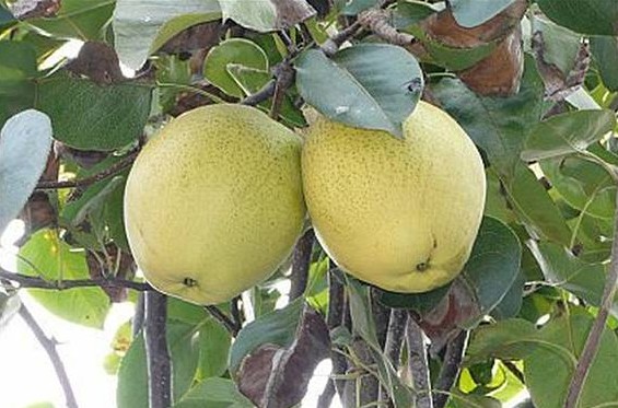 1625545913205900.jpg 1624698719(1).jpg